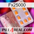Fx25000 new13